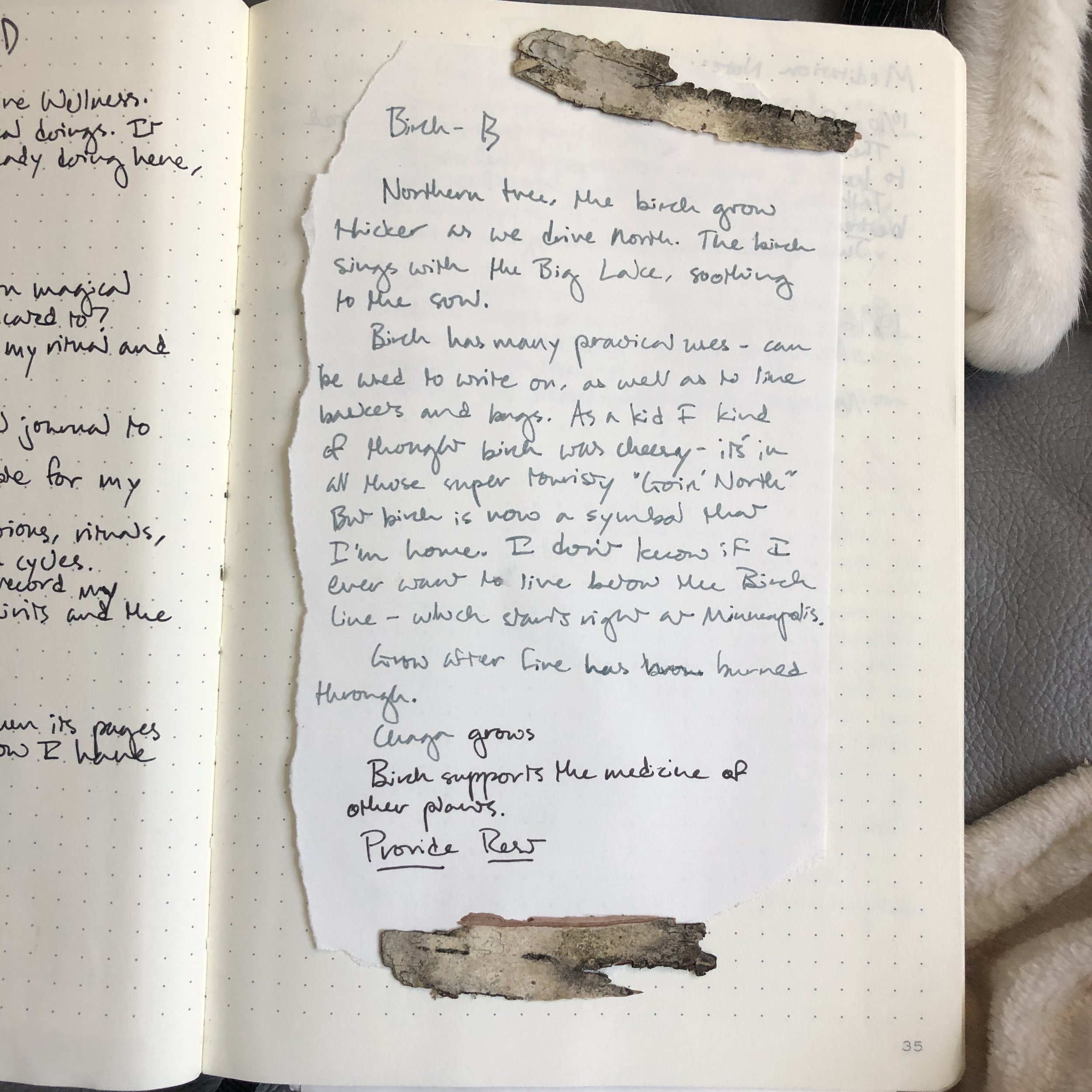 Personal Grimoires: How bullet journaling improved my witchcraft